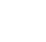 Management Support  In many key areas on a short or  long term basis
