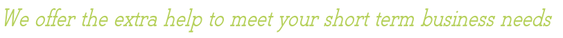 We offer the extra help to meet your short term business needs